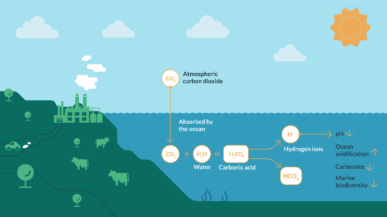 How does climate change impact weather patterns, ecosystems, and biodiversity? 