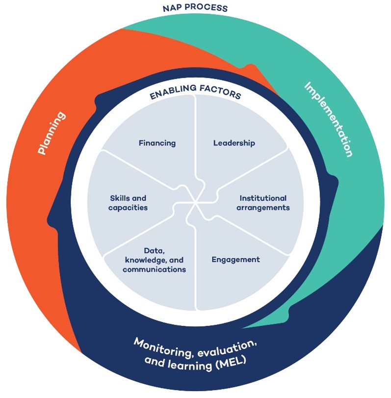 How can governments and international organizations support resilience in vulnerable regions?